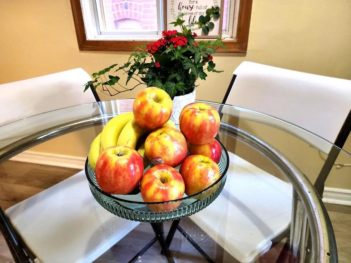 Toronto Midtown Spot 3 Apartment Homestay